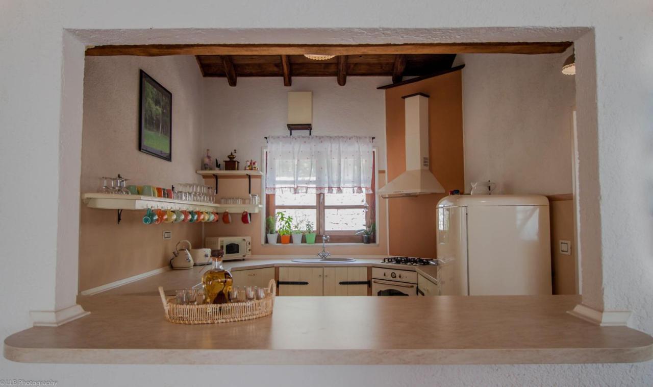 Family Villa Lipica With Private Pool And Jacuzzi Pazin Eksteriør billede